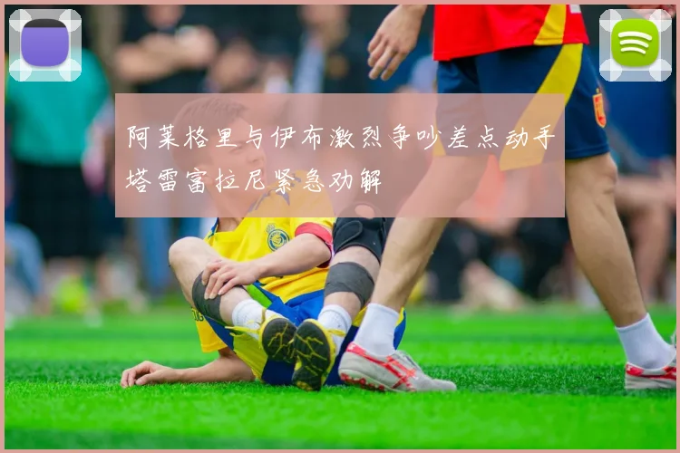 阿莱格里与伊布激烈争吵差点动手塔雷富拉尼紧急劝解